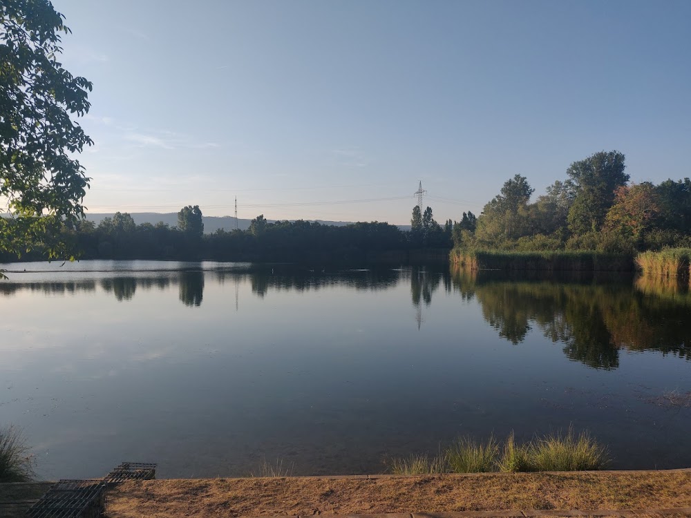 Rheinufer Ingelheim Picknickplatz – Bild 6