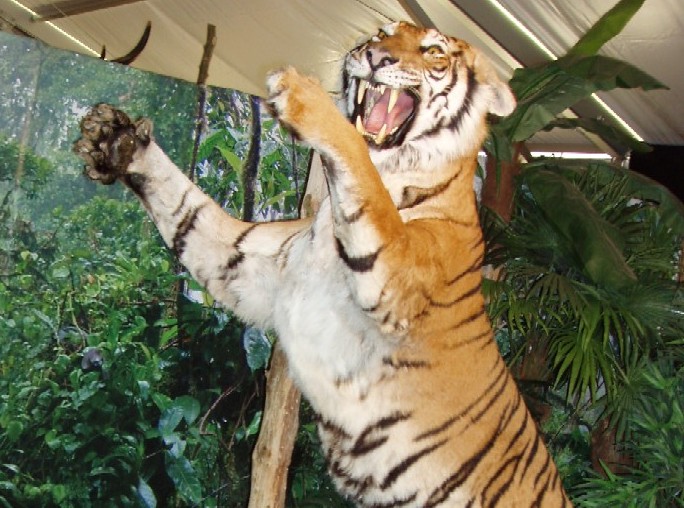 Wildlife Usedom - Tropic Reptica GmbH – Bild 4