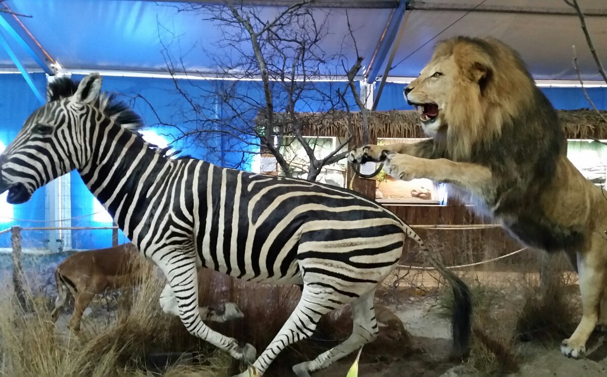 Wildlife Usedom - Tropic Reptica GmbH – Bild 5