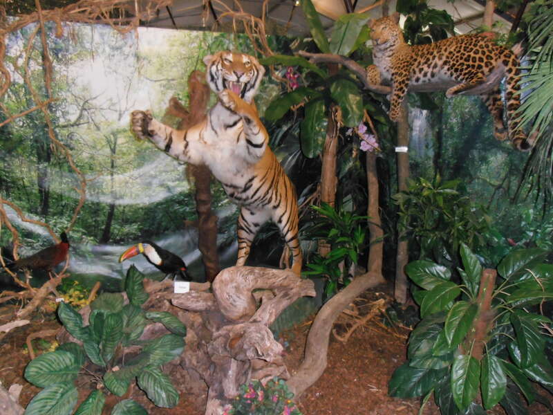 Wildlife Usedom - Tropic Reptica GmbH – Bild 6