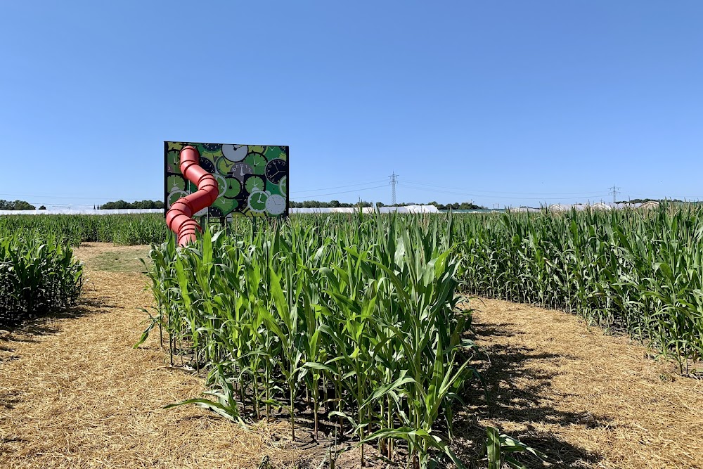 hegehof frisch vom Land – Bild 1