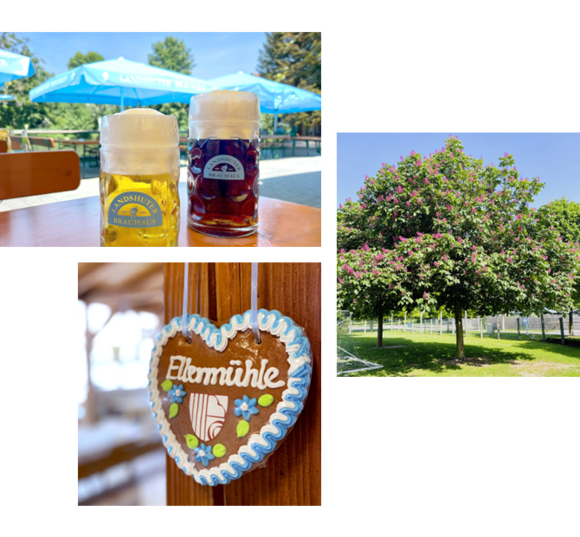 Biergarten Ellermühle – Bild 2