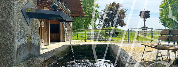 Biergarten Ellermühle – Bild 4