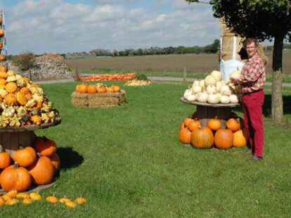 Albert Ohling Landwirtschaft – Bild 2