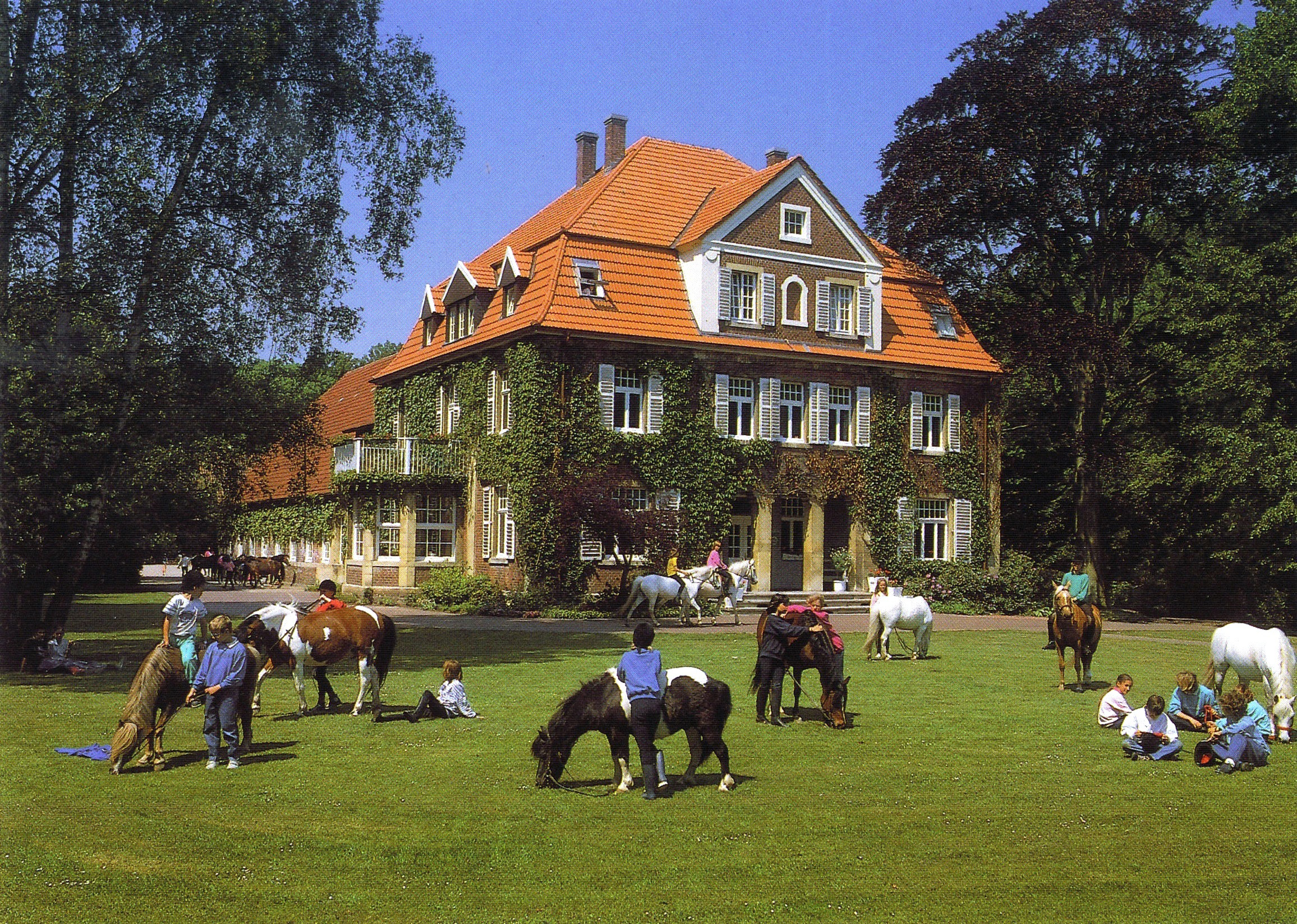 Ponyhof Benning – Bild 5