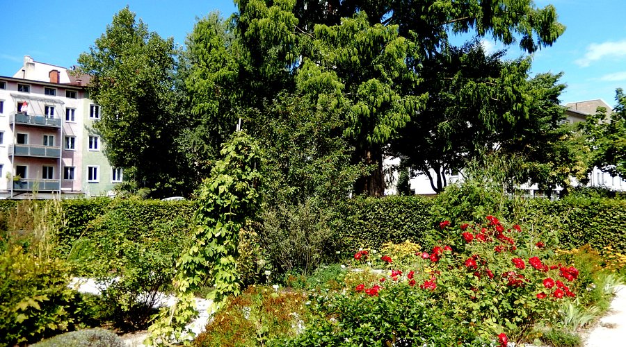 Riedergarten – Bild 3