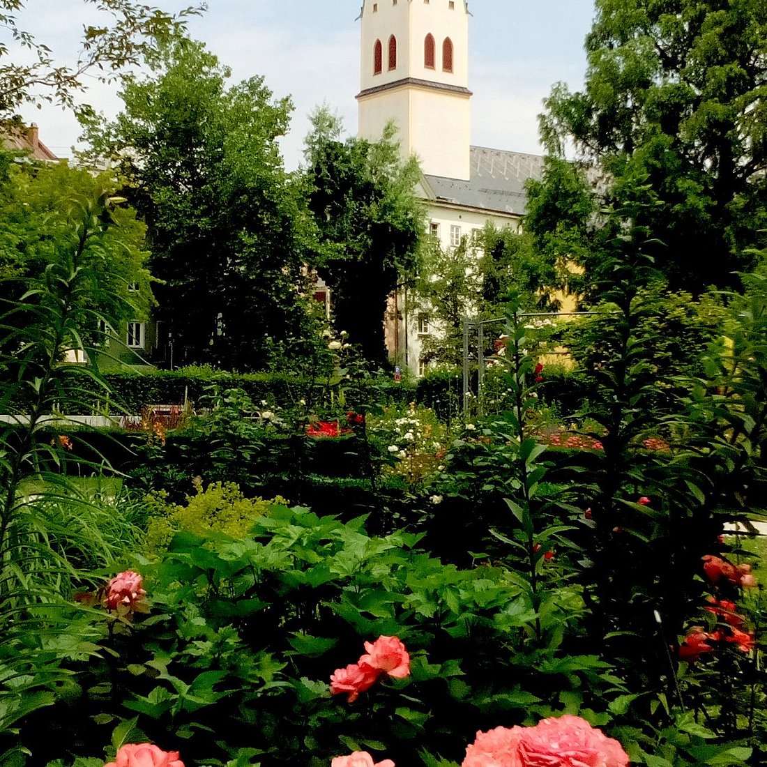 Riedergarten – Bild 6