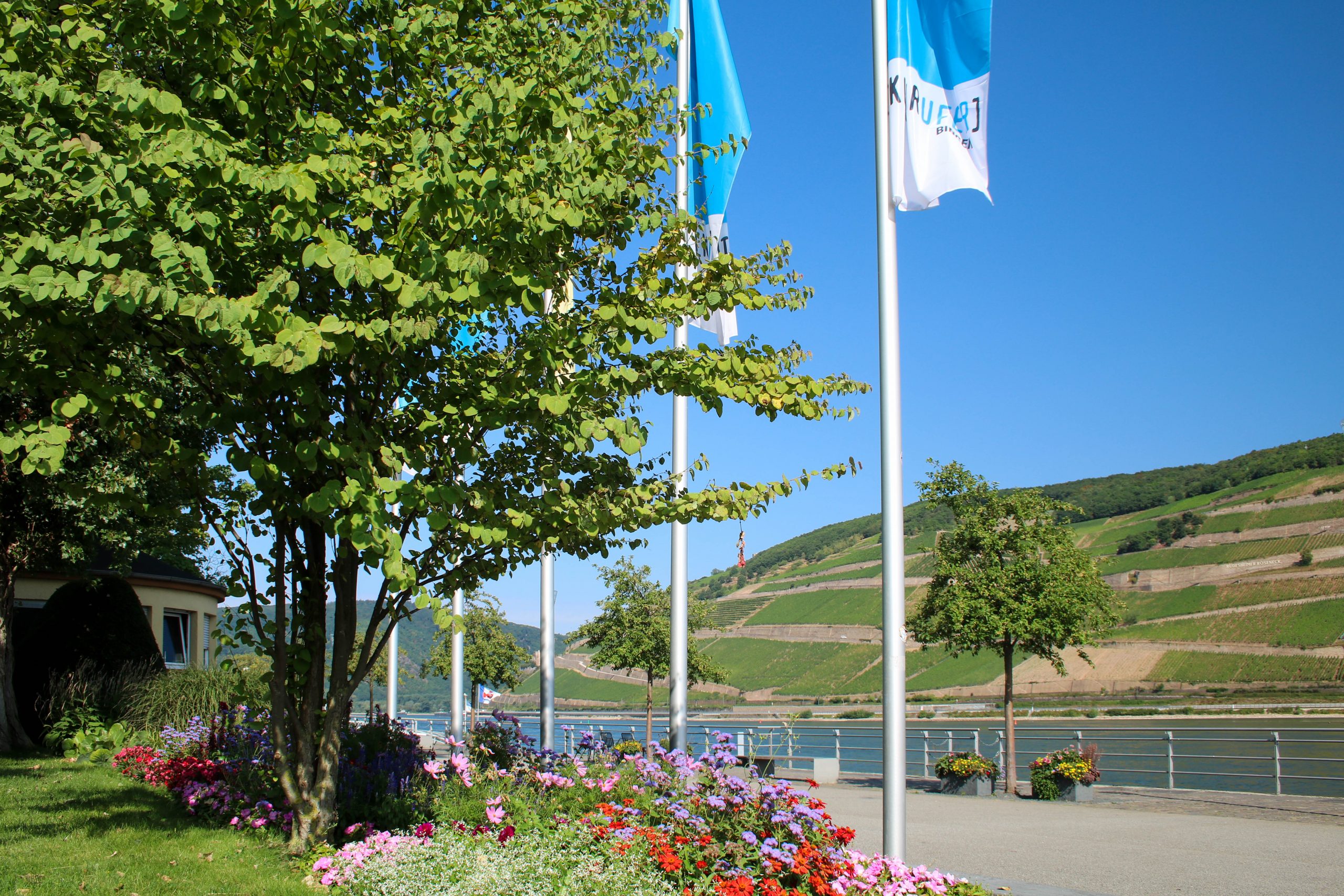 Rheinpromenade Kultur-Ufer Bingen – Bild 2