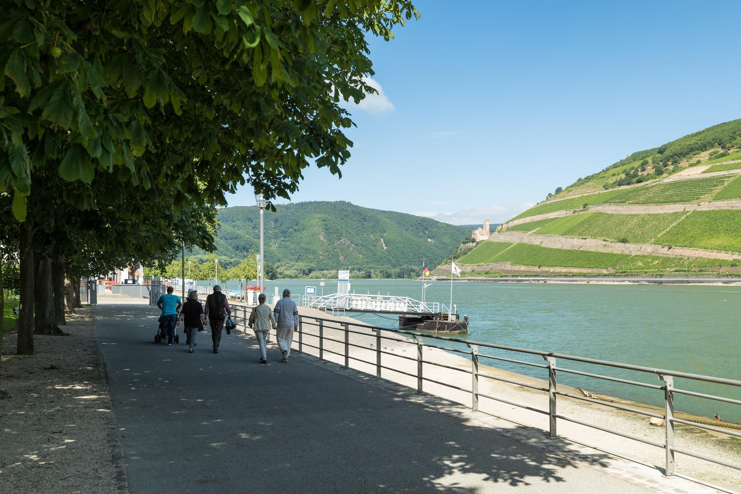 Rheinpromenade Kultur-Ufer Bingen – Bild 3