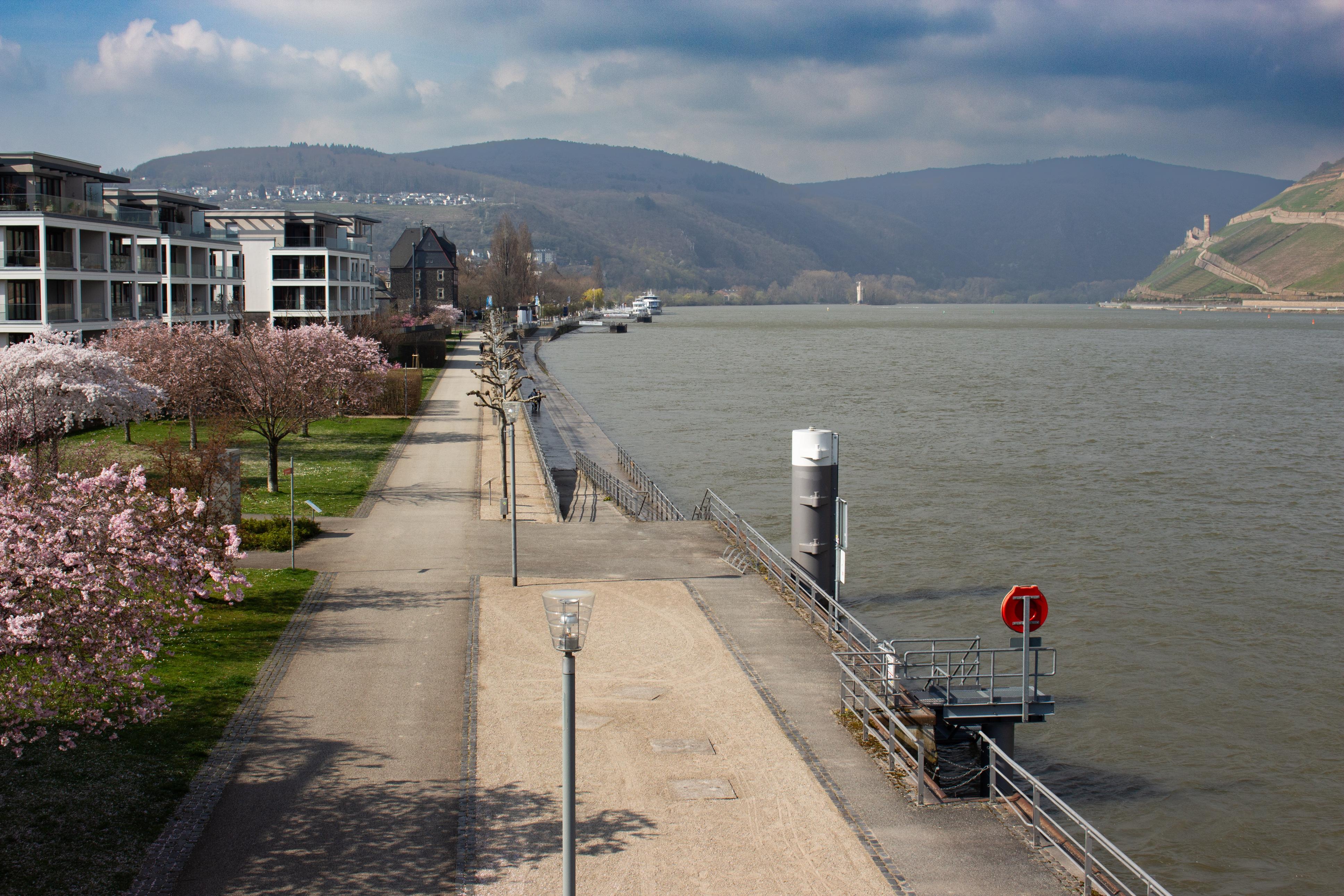 Rheinpromenade Kultur-Ufer Bingen – Bild 4