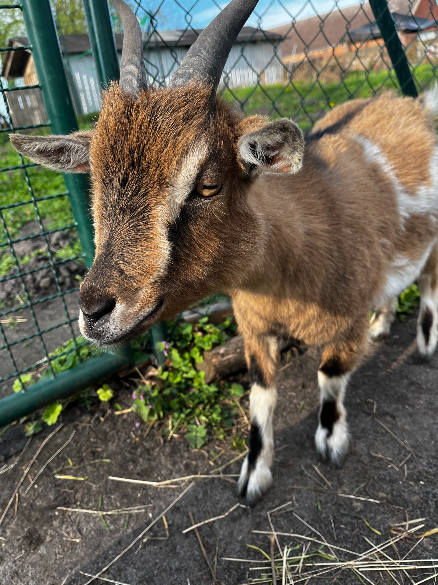 Kita auf dem Bauernhof – Bild 1
