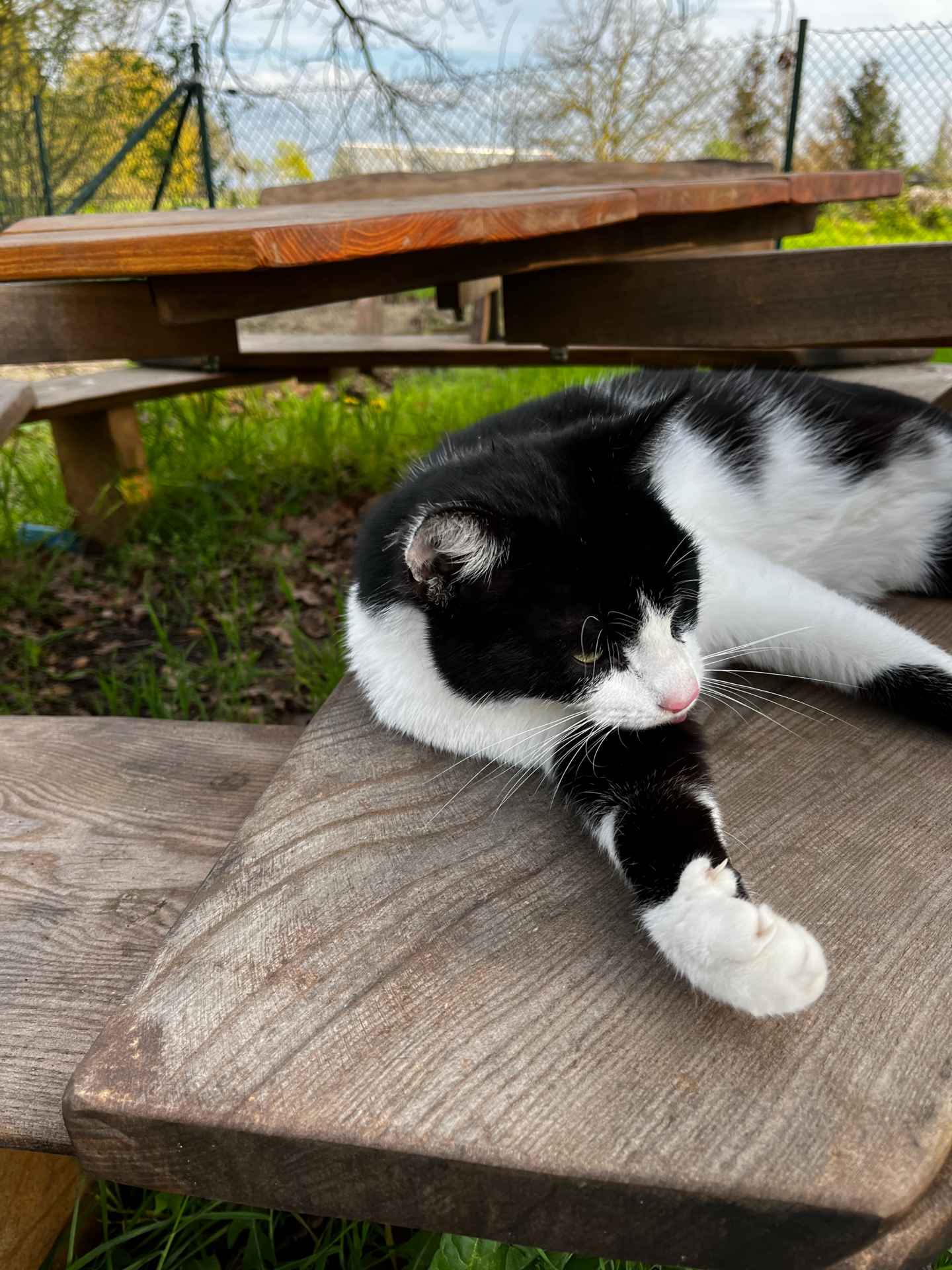Kita auf dem Bauernhof – Bild 2