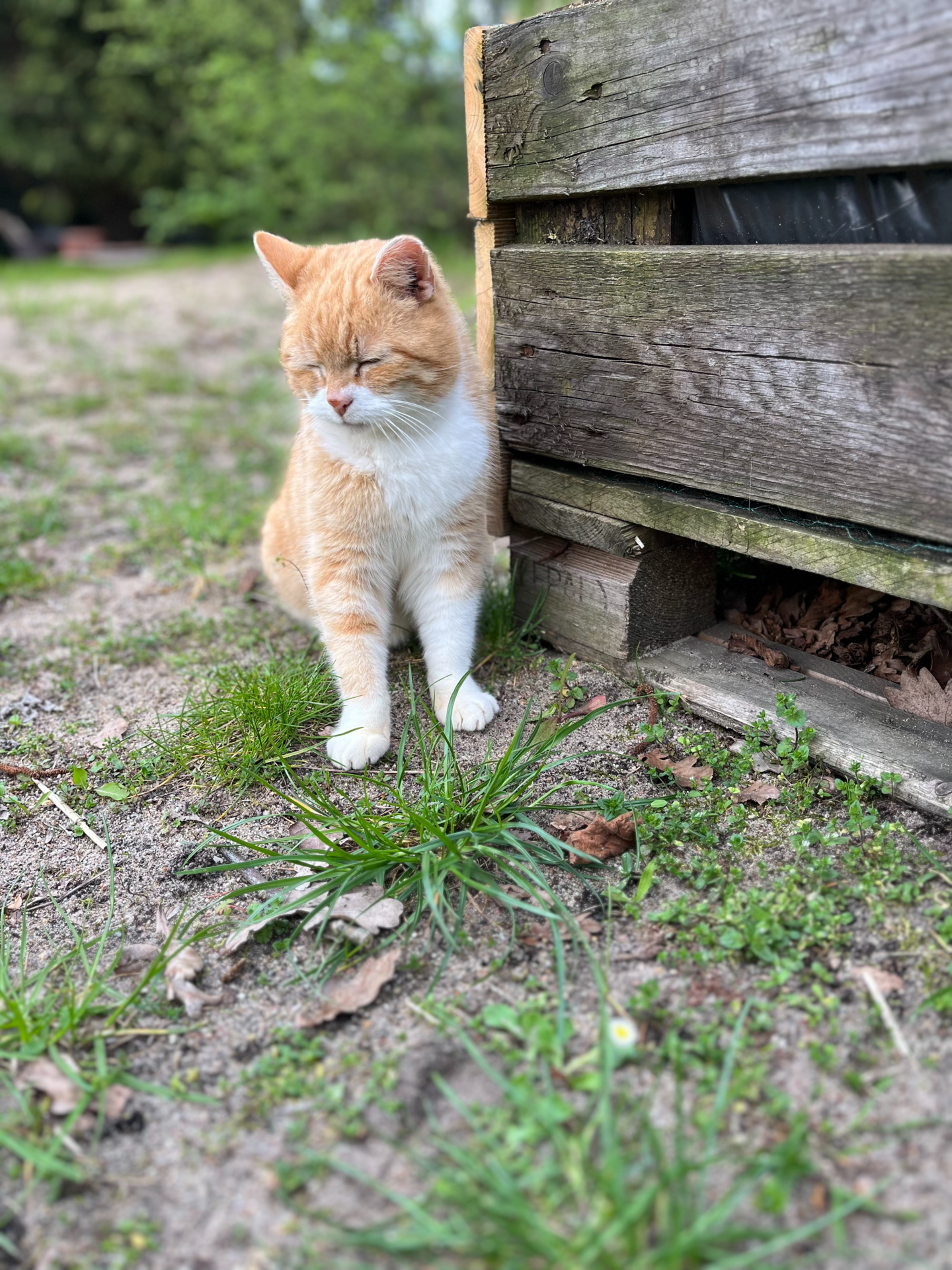 Kita auf dem Bauernhof – Bild 4