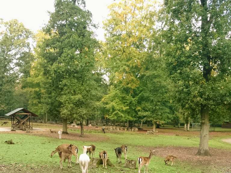 Wildgehege Grutholz – Bild 2