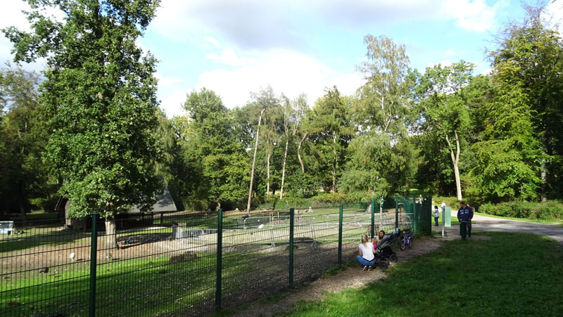 Wildgehege Grutholz – Bild 3