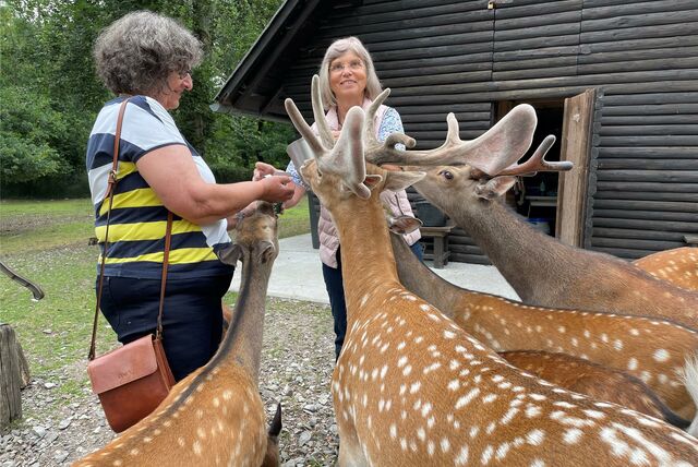 Wildgehege Grutholz – Bild 4