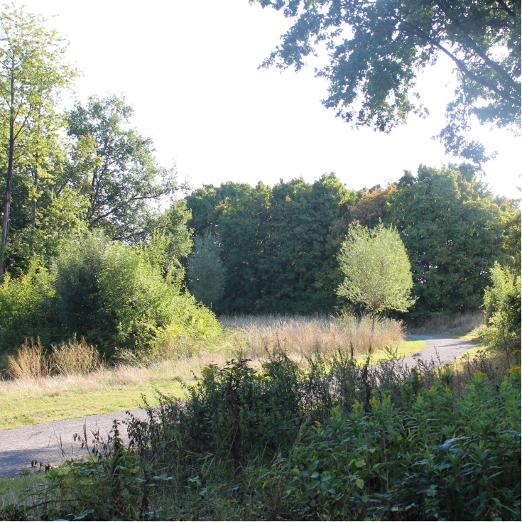 Wildnis für Kinder - Bochum Langendreer – Bild 5