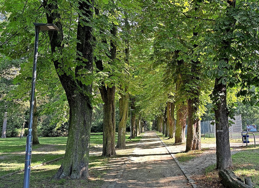 Stadtpark Nauen – Bild 4