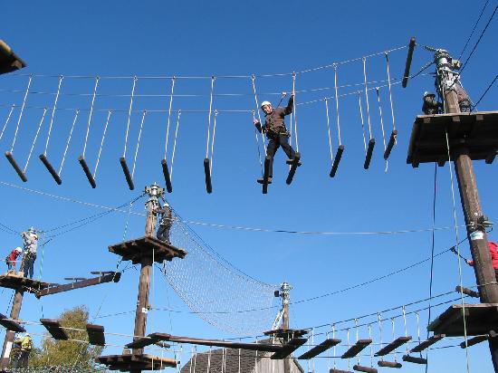 Südsee-Hochseilgarten – Bild 5