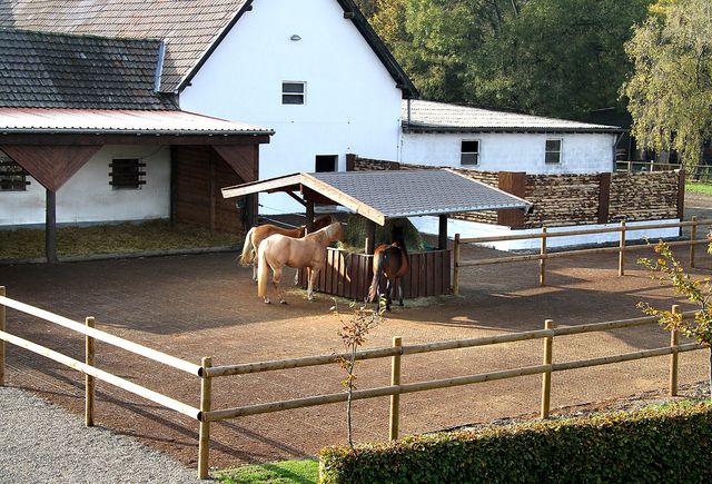 Eifelhof Bock – Bild 2