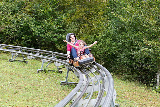 Eifel-Coaster Sommerrodelbahn – Bild 2