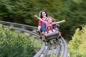 Eifel-Coaster Sommerrodelbahn – Bild 5