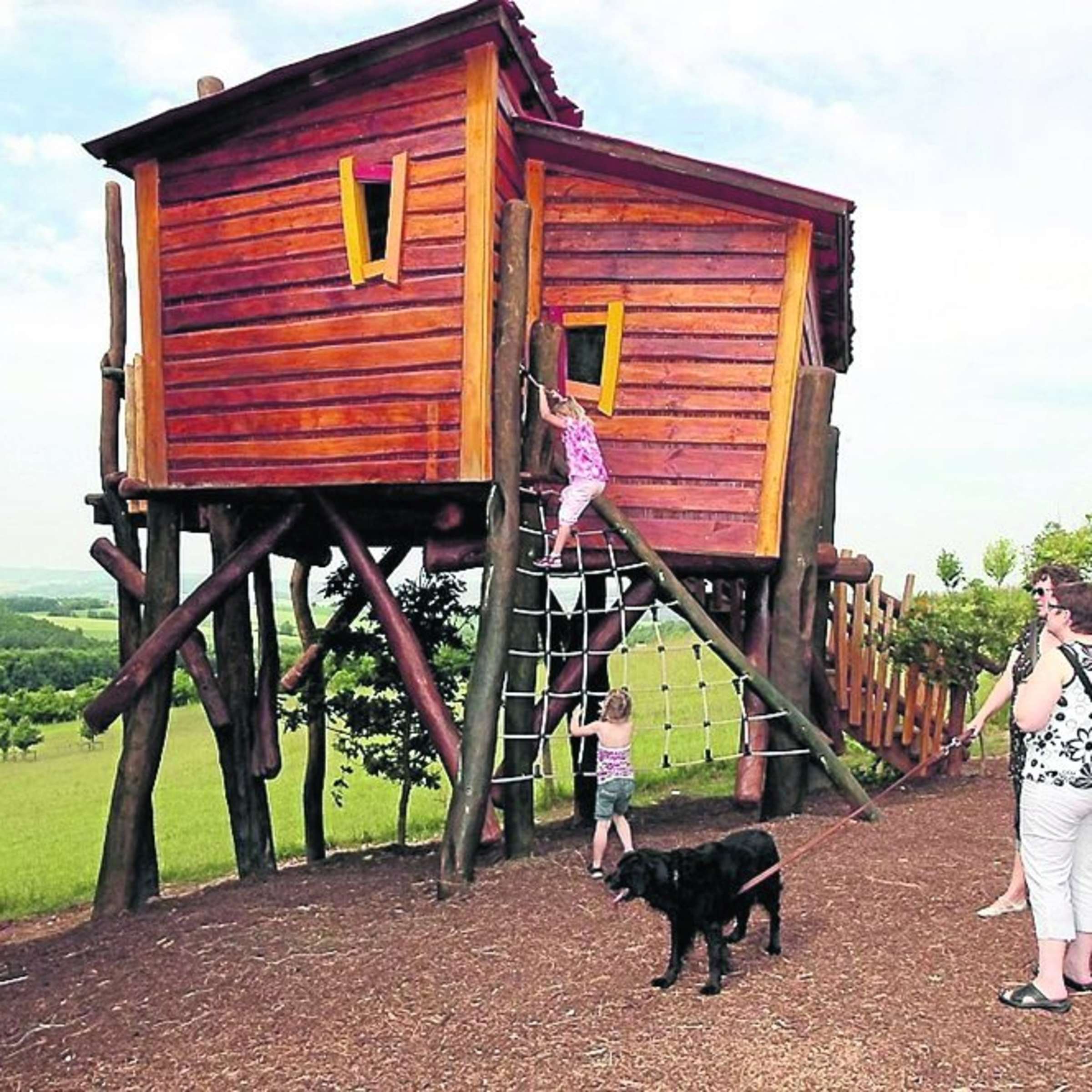 KiKa Baumhaus – Bild 5