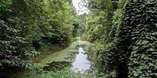 Francis Guindon Park – Bild 1