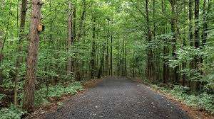 Francis Guindon Park – Bild 2