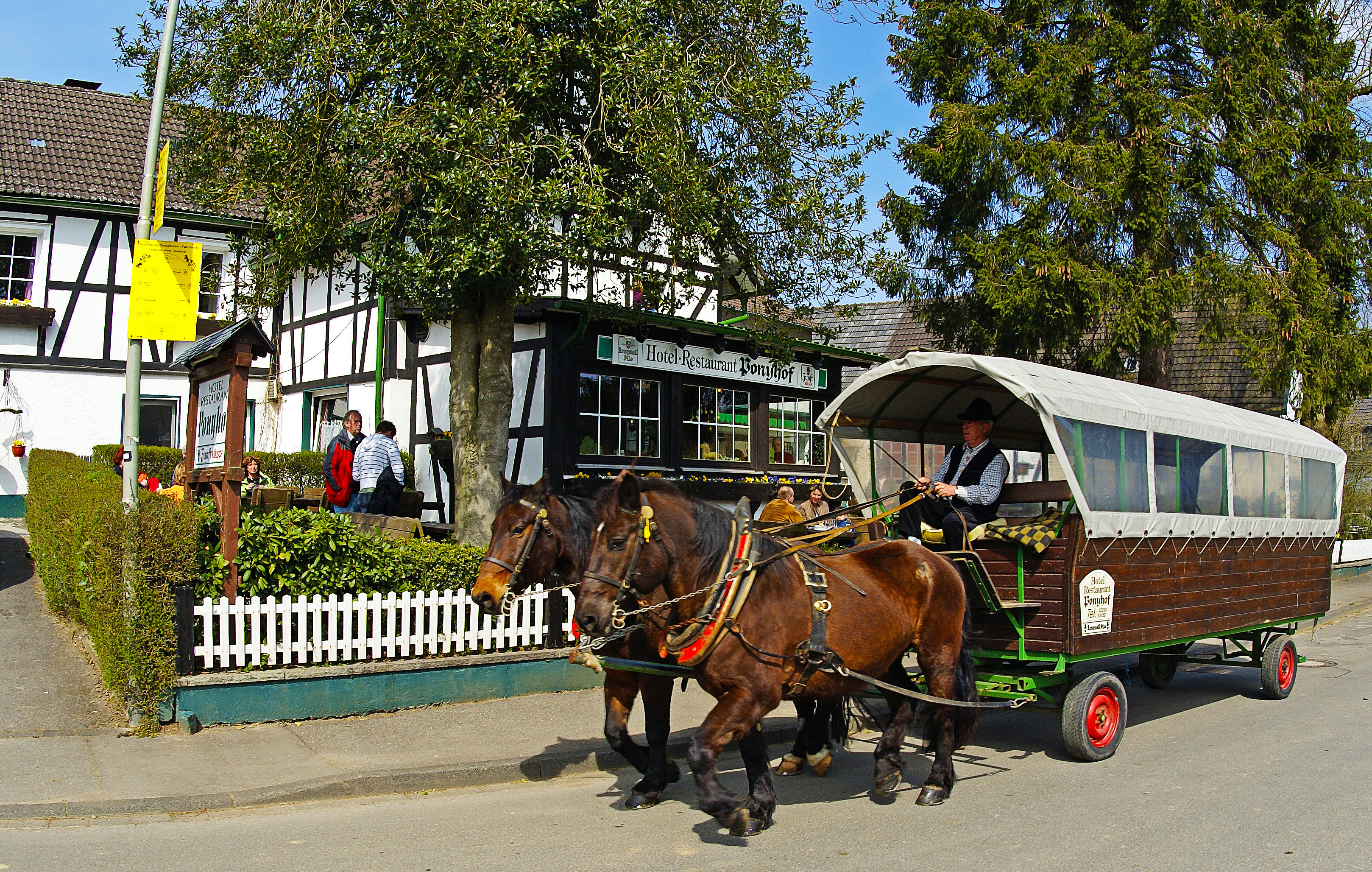 Ponyhof Wefelpütt – Bild 6