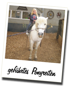 Erlebnisbauernhof Blomland – Bild 5