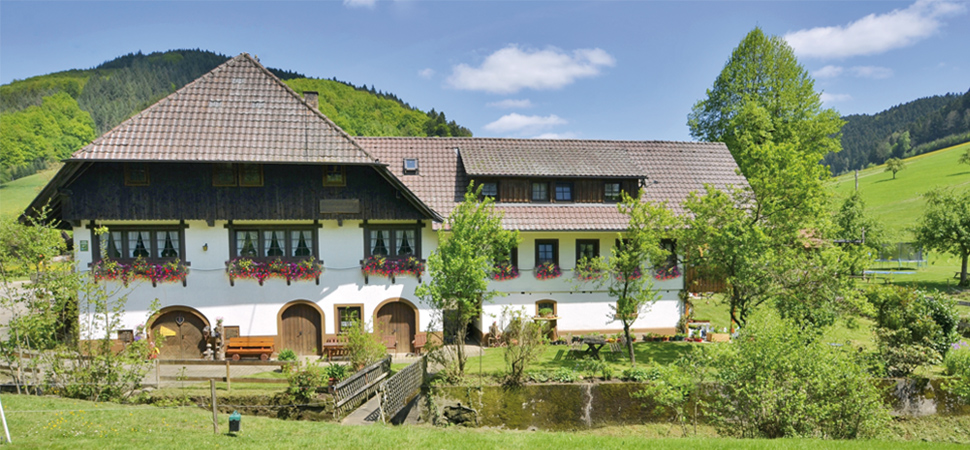 Ramsteinerhof Hausach – Bild 2