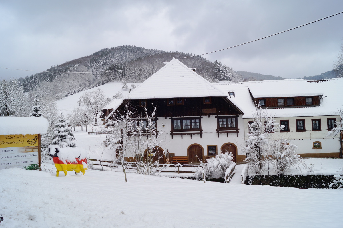 Ramsteinerhof Hausach – Bild 3
