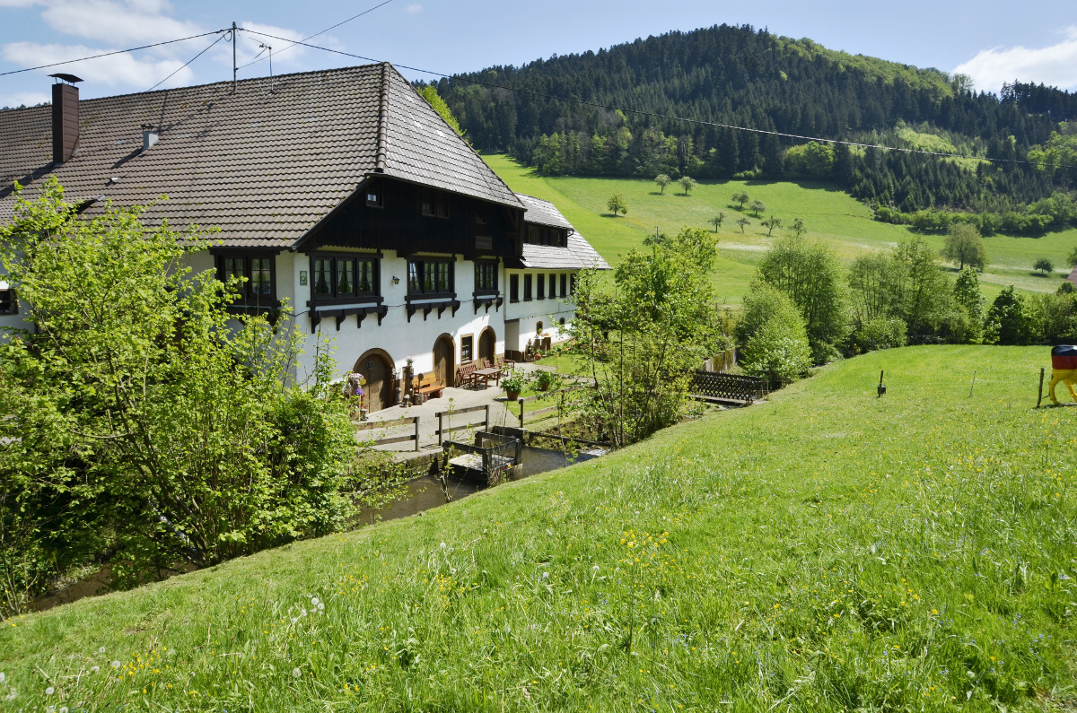 Ramsteinerhof Hausach – Bild 5