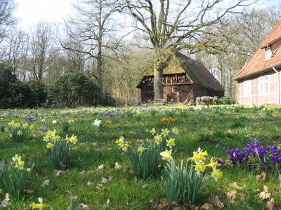 Dreweshof Meßhausen Familie Forche – Bild 5