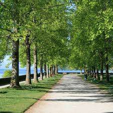 Morges Playground – Bild 5