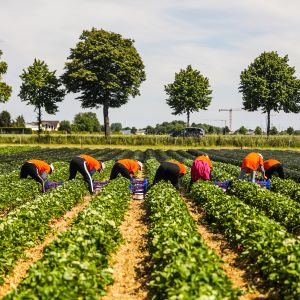 Beller Hof – Bild 4