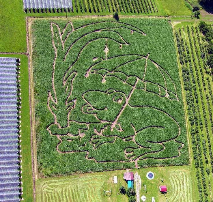 Mais-Labyrinth – Bild 5