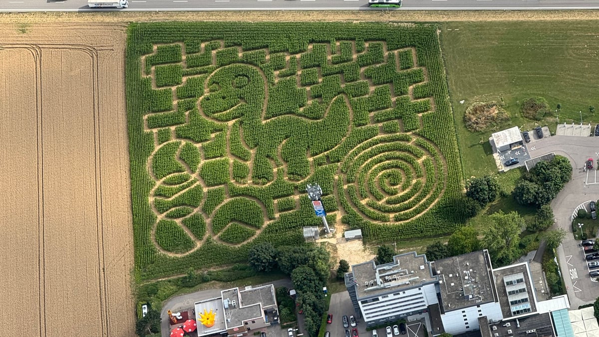 Mais-Labyrinth – Bild 6