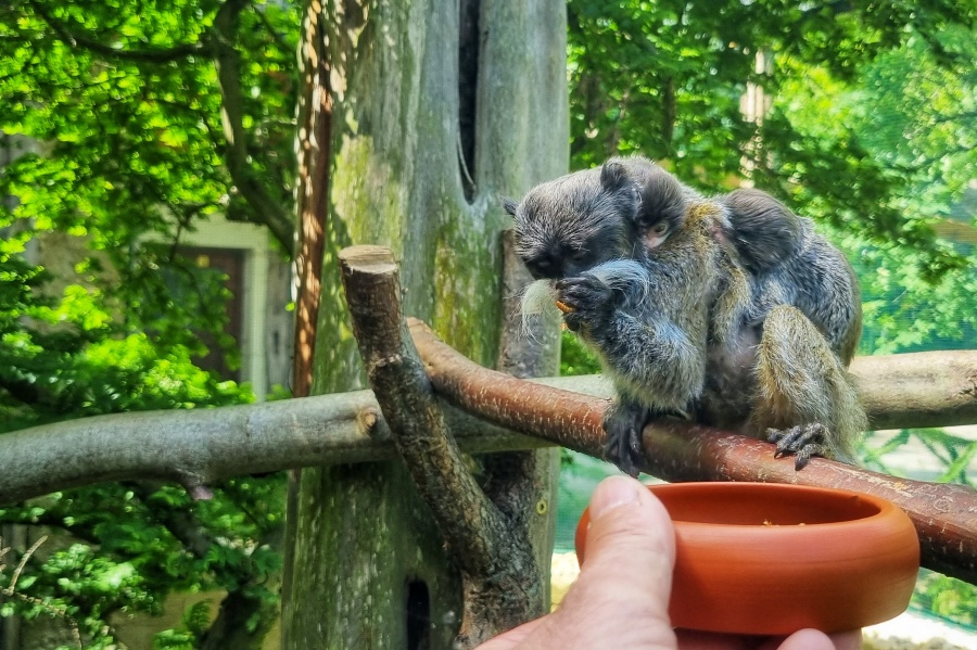 Zoo Stralsund – Bild 1