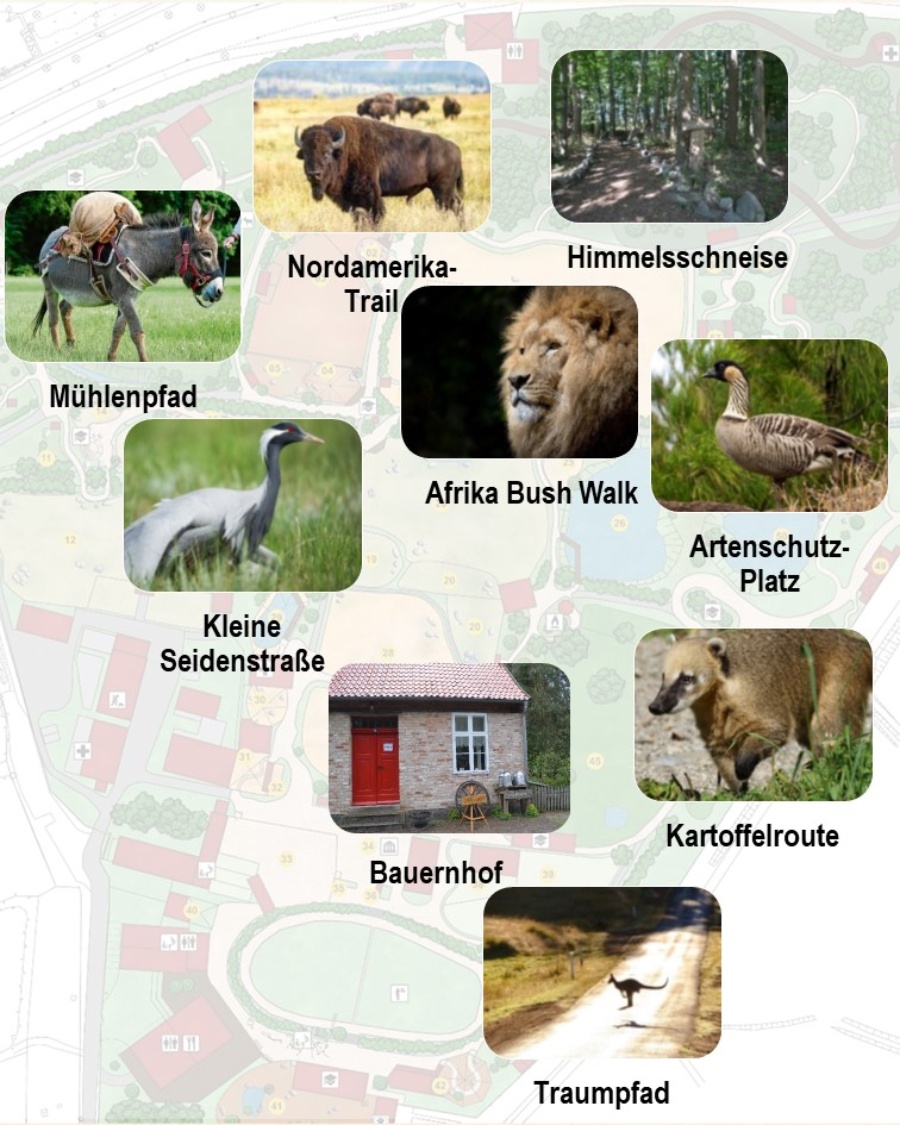 Zoo Stralsund – Bild 3