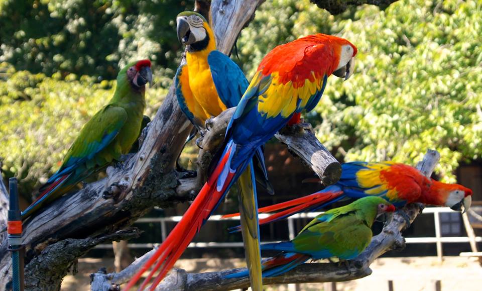 Zoo Stralsund – Bild 5