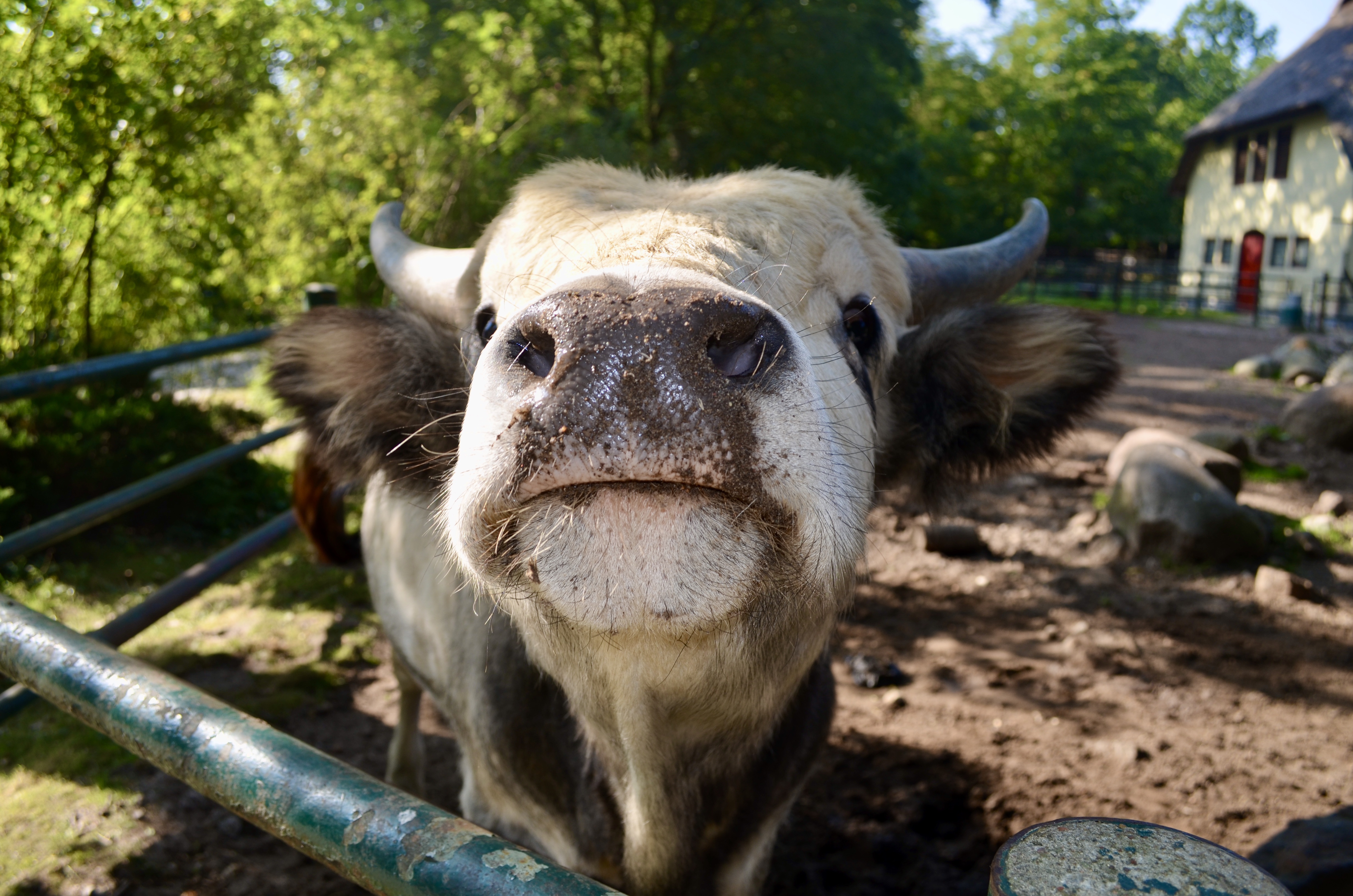 Zoo Stralsund – Bild 6