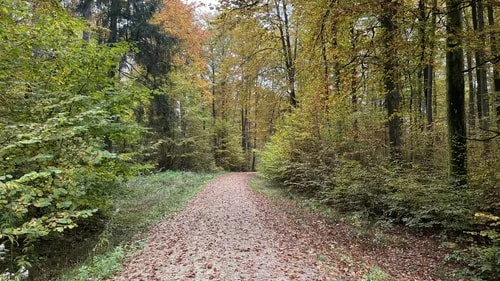 Naherholungsgebiet Obere Wagensaß – Bild 2