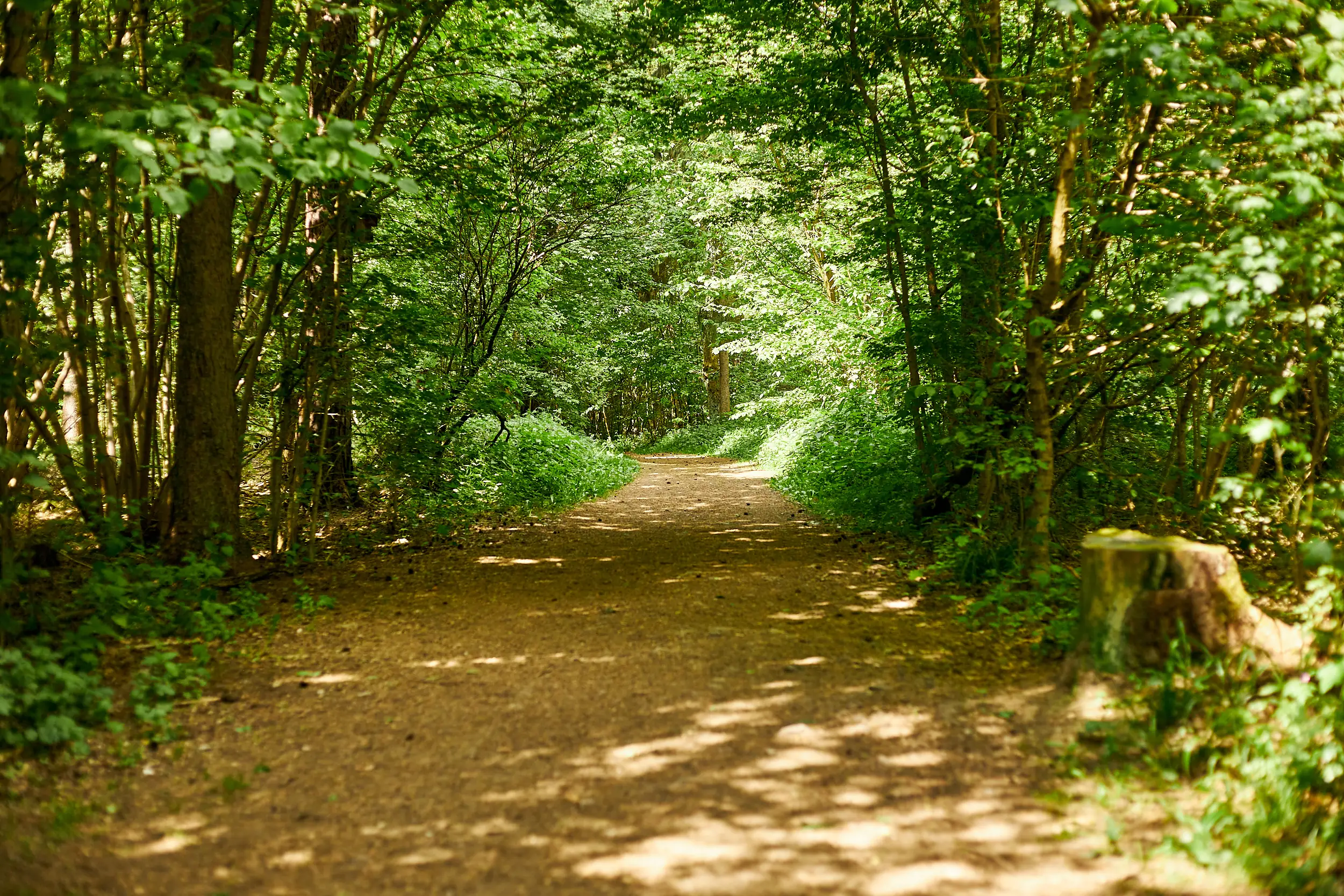 Naherholungsgebiet Obere Wagensaß – Bild 5