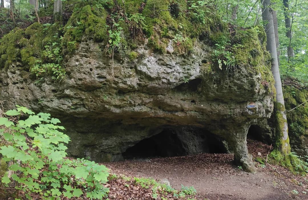 Naherholungsgebiet Obere Wagensaß – Bild 6