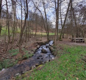 Natur- und Wassererlebnispfad Waldaschaff – Bild 4