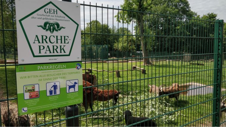 Merziger Tierpark – Bild 2