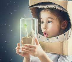 Science Timmins – Bild 4