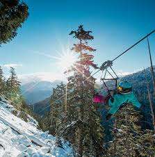 Superfly Ziplines Basecamp – Bild 2